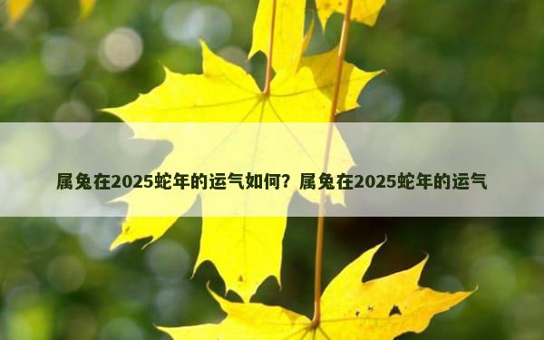 属兔在2025蛇年的运气如何？属兔在2025蛇年的运气