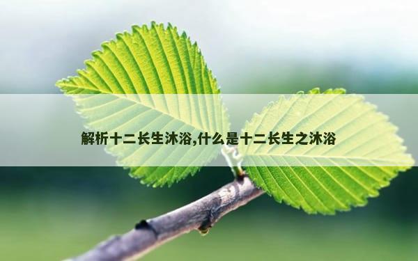 解析十二长生沐浴,什么是十二长生之沐浴