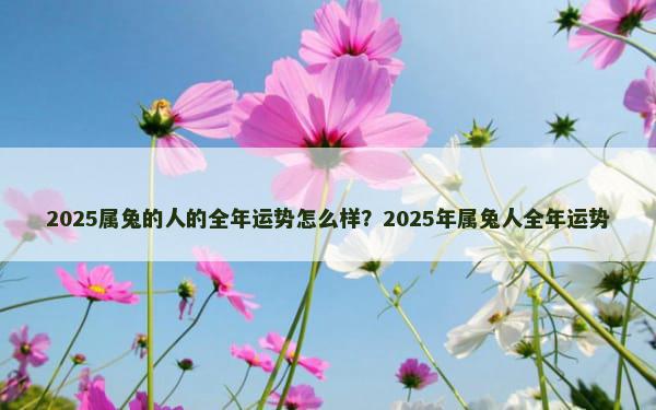 2025属兔的人的全年运势怎么样？2025年属兔人全年运势