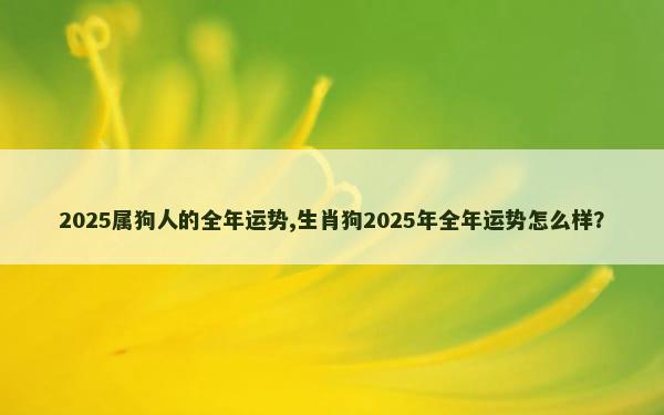 2025属狗人的全年运势,生肖狗2025年全年运势怎么样？