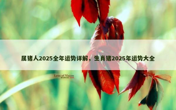 属猪人2025全年运势详解，生肖猪2025年运势大全