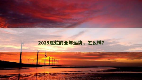 2025属蛇的全年运势，怎么样？