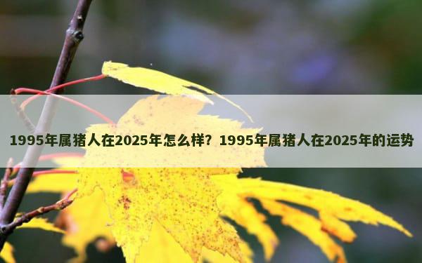 1995年属猪人在2025年怎么样？1995年属猪人在2025年的运势