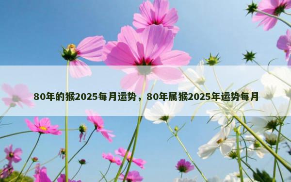 80年的猴2025每月运势，80年属猴2025年运势每月