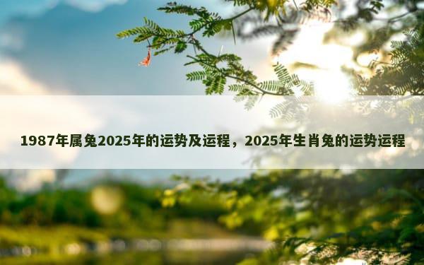 1987年属兔2025年的运势及运程，2025年生肖兔的运势运程