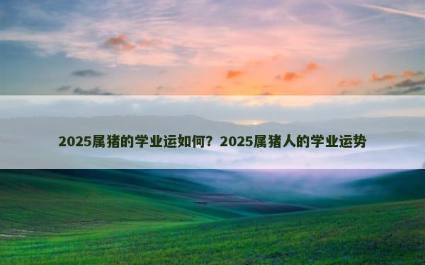 2025属猪的学业运如何？2025属猪人的学业运势