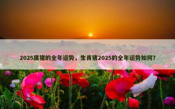 2025属猪的全年运势，生肖猪2025的全年运势如何？