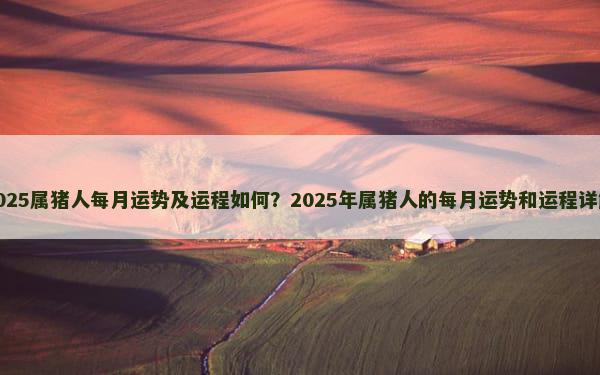 2025属猪人每月运势及运程如何？2025年属猪人的每月运势和运程详解