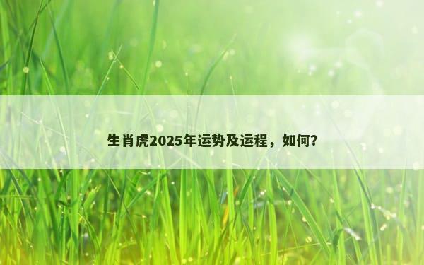 生肖虎2025年运势及运程，如何？