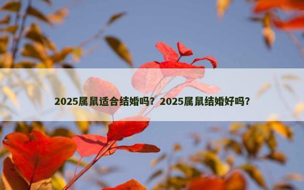 2025属鼠适合结婚吗？2025属鼠结婚好吗？