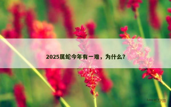 2025属蛇今年有一难，为什么？