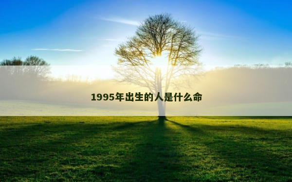 1995年出生的人是什么命