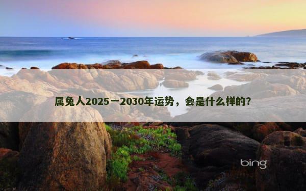 属兔人2025一2030年运势，会是什么样的？