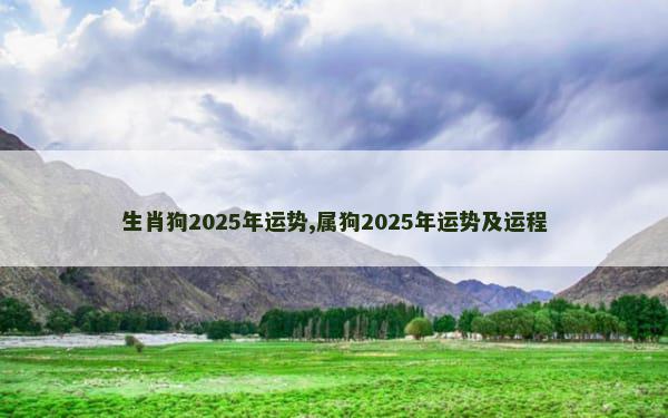 生肖狗2025年运势,属狗2025年运势及运程