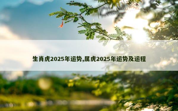 生肖虎2025年运势,属虎2025年运势及运程