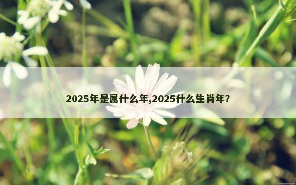 2025年是属什么年,2025什么生肖年？