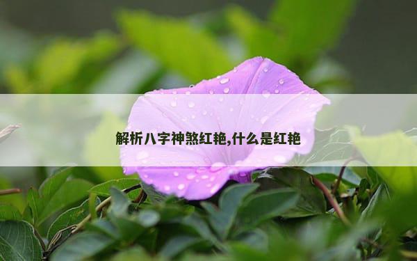 解析八字神煞红艳,什么是红艳