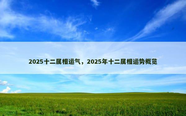 2025十二属相运气，2025年十二属相运势概览