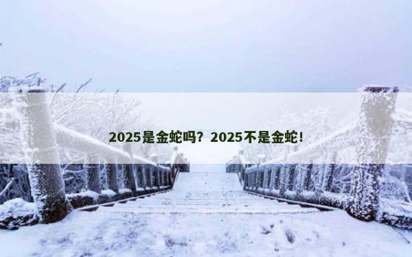 2025是金蛇吗？2025不是金蛇！