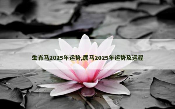 生肖马2025年运势,属马2025年运势及运程