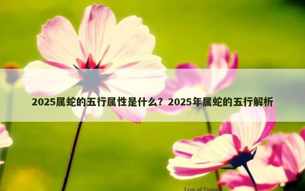 2025属蛇的五行属性是什么？2025年属蛇的五行解析