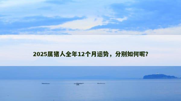 2025属猪人全年12个月运势，分别如何呢？