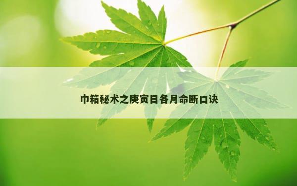 巾箱秘术之庚寅日各月命断口诀