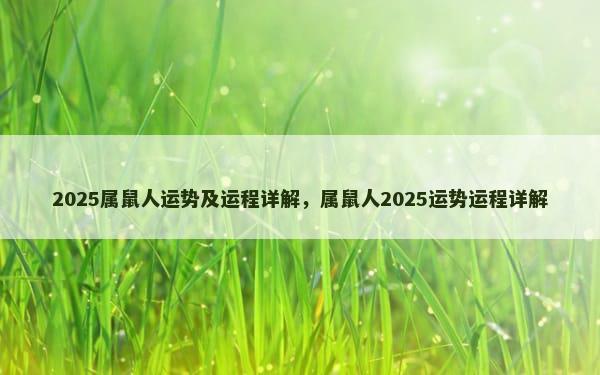 2025属鼠人运势及运程详解，属鼠人2025运势运程详解