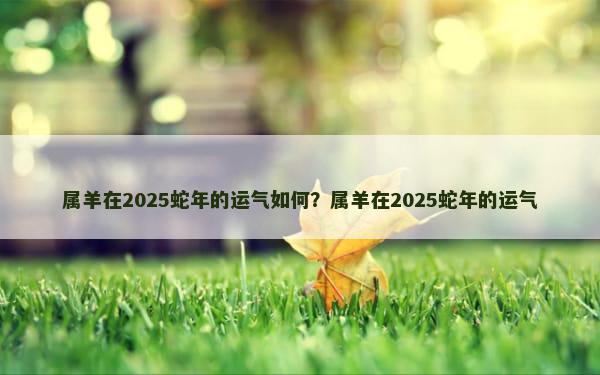 属羊在2025蛇年的运气如何？属羊在2025蛇年的运气