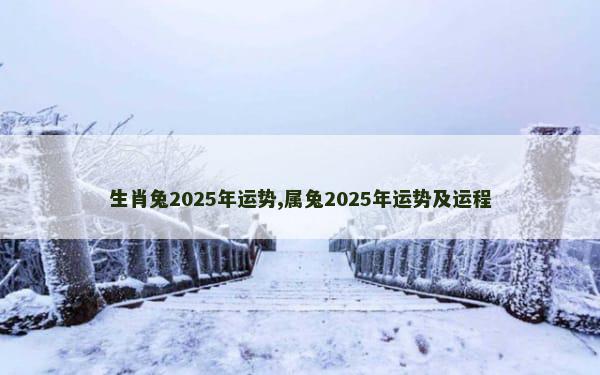 生肖兔2025年运势,属兔2025年运势及运程