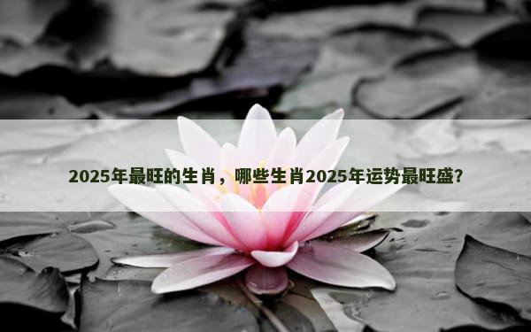 2025年最旺的生肖，哪些生肖2025年运势最旺盛？