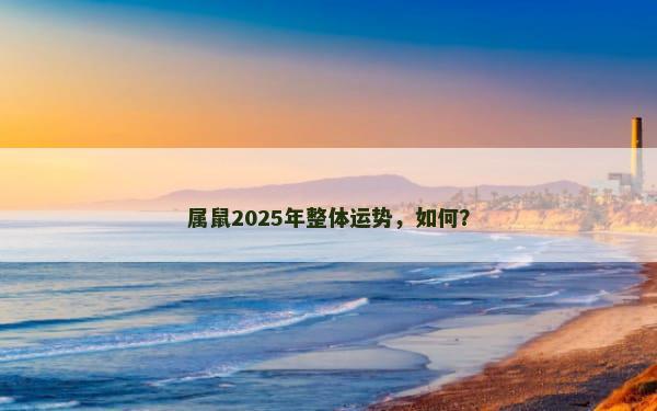 属鼠2025年整体运势，如何？