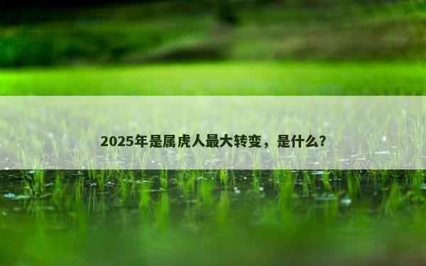 2025年是属虎人最大转变，是什么？