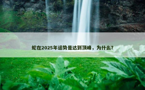 蛇在2025年运势是达到顶峰，为什么？