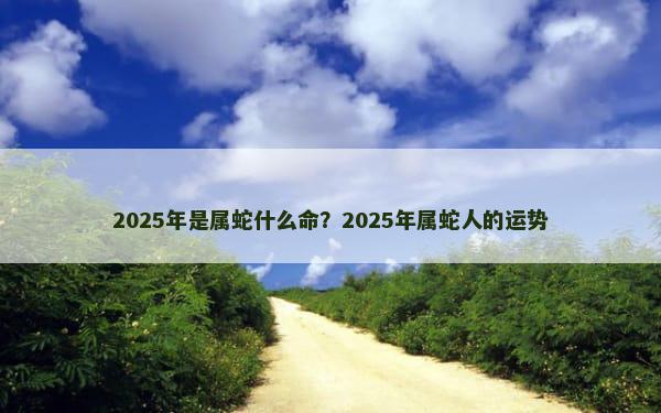 2025年是属蛇什么命？2025年属蛇人的运势