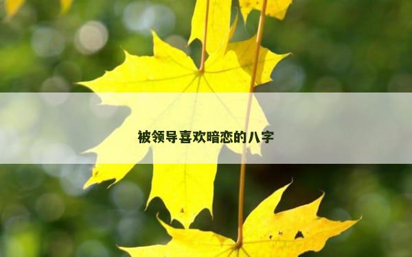 被领导喜欢暗恋的八字