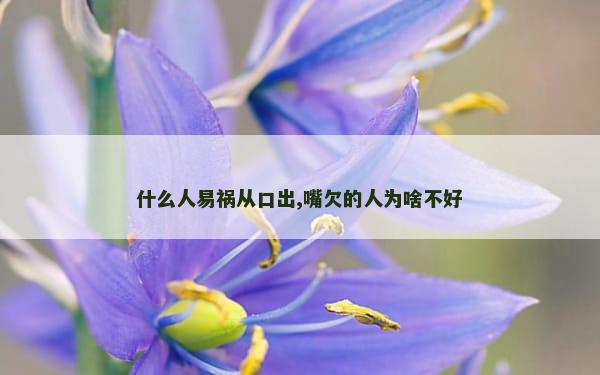 什么人易祸从口出,嘴欠的人为啥不好