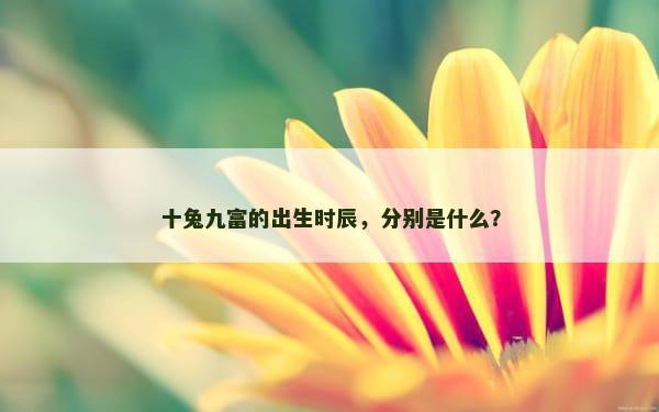 十兔九富的出生时辰，分别是什么？