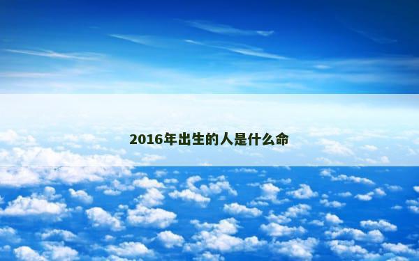 2016年出生的人是什么命