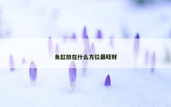 鱼缸放在什么方位最旺财