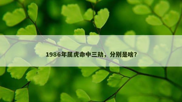 1986年属虎命中三劫，分别是啥？