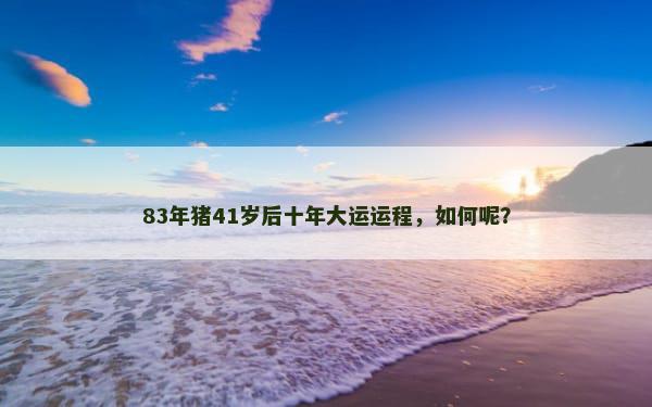 83年猪41岁后十年大运运程，如何呢？