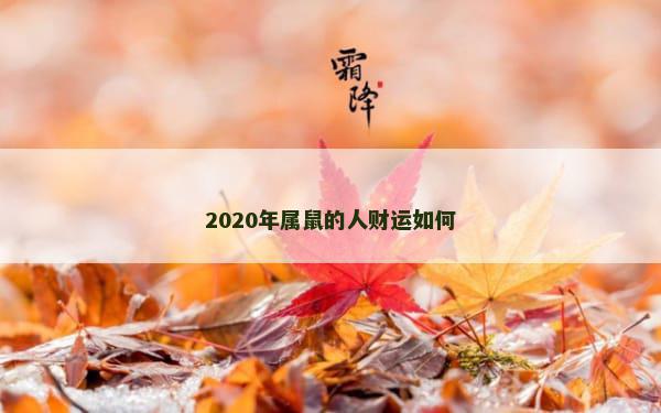 2020年属鼠的人财运如何