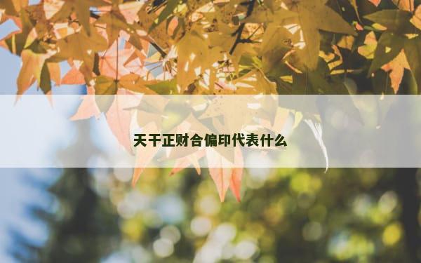 天干正财合偏印代表什么