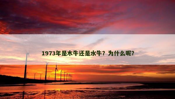 1973年是木牛还是水牛？为什么呢？