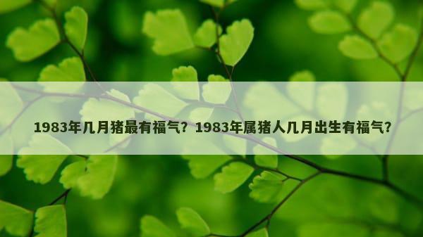 1983年几月猪最有福气？1983年属猪人几月出生有福气？