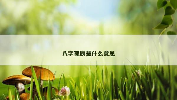 八字孤辰是什么意思