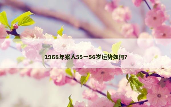 1968年猴人55一56岁运势如何？