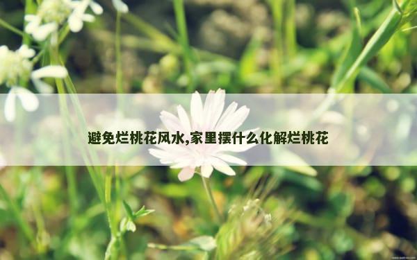 避免烂桃花风水,家里摆什么化解烂桃花