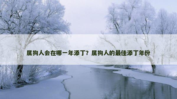 属狗人会在哪一年添丁？属狗人的最佳添丁年份